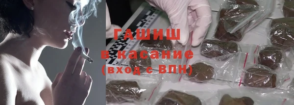 сатива Абинск