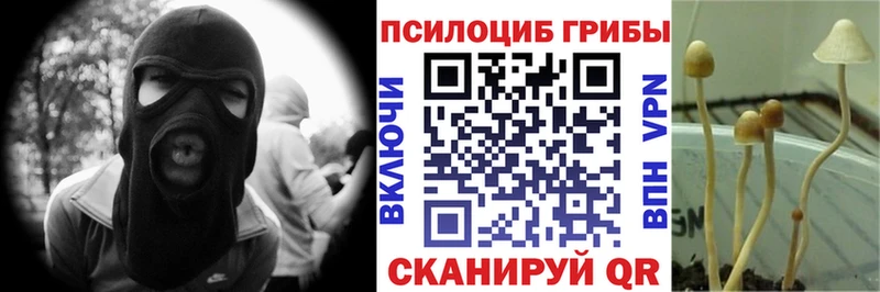 Галлюциногенные грибы Magic Shrooms MEGA как зайти Ермолино